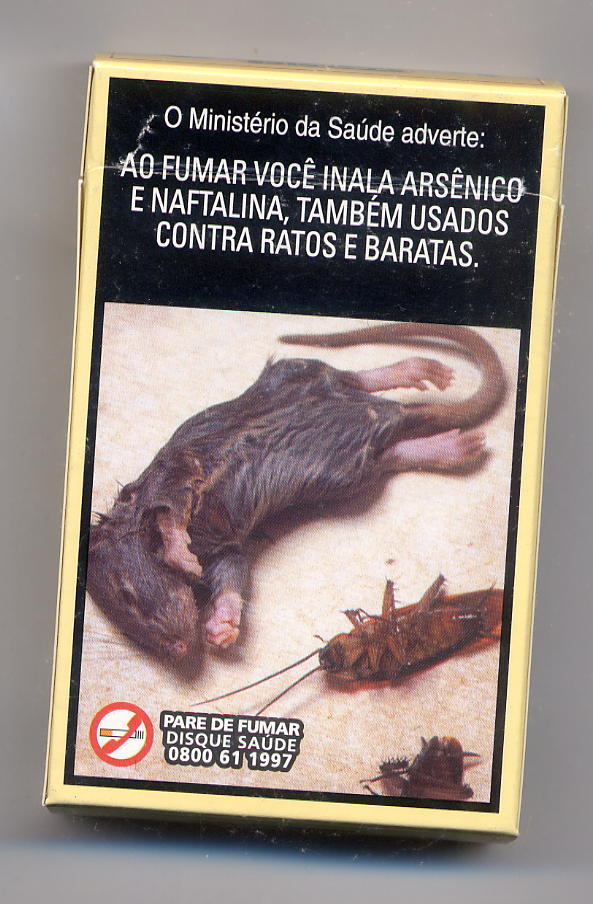 Camel Brasilien Ratte